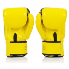 "Fairtex" bokso pirštinės BGV1N - Yellow