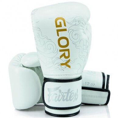 "Fairtex" bokso pirštinės BGVG3 - White/Silver