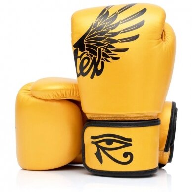 "Fairtex" bokso pirštinės Falcon - Limited Edition