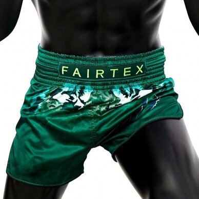 "Fairtex" K1 / Thai šortai Tonna - Green 2