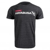 Marškinėliai "Hayabusa"