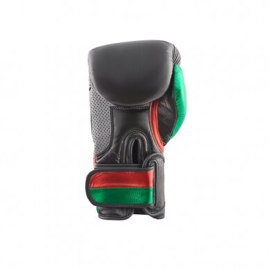 "Hitman" bokso pirštinės Premium - Black/Red/Green 2