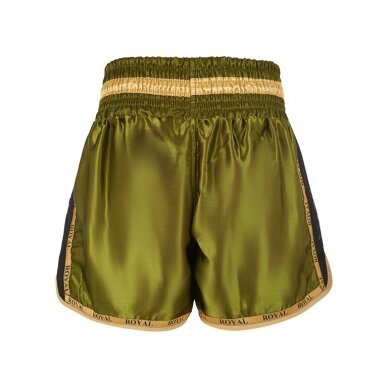 "Royal" šortai Muay Thai / Kickboxing trunks - Mesh - khaki 1