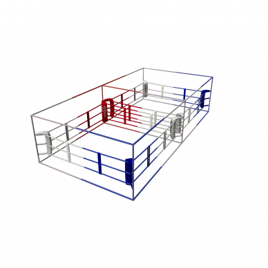 Ringas - ECONOMY BOXING RING DOUBLE STEDYX 3